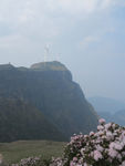 坡上草原美景