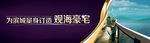 观海豪宅地产广告