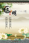 文明  荷花