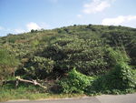 山坡