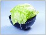 西生菜