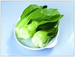 油菜
