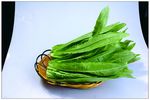 油麦菜