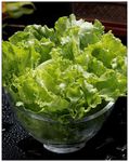 生菜