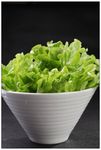 生菜