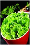 生菜