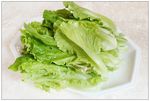 生菜