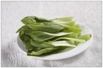 油菜