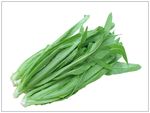 油麦菜
