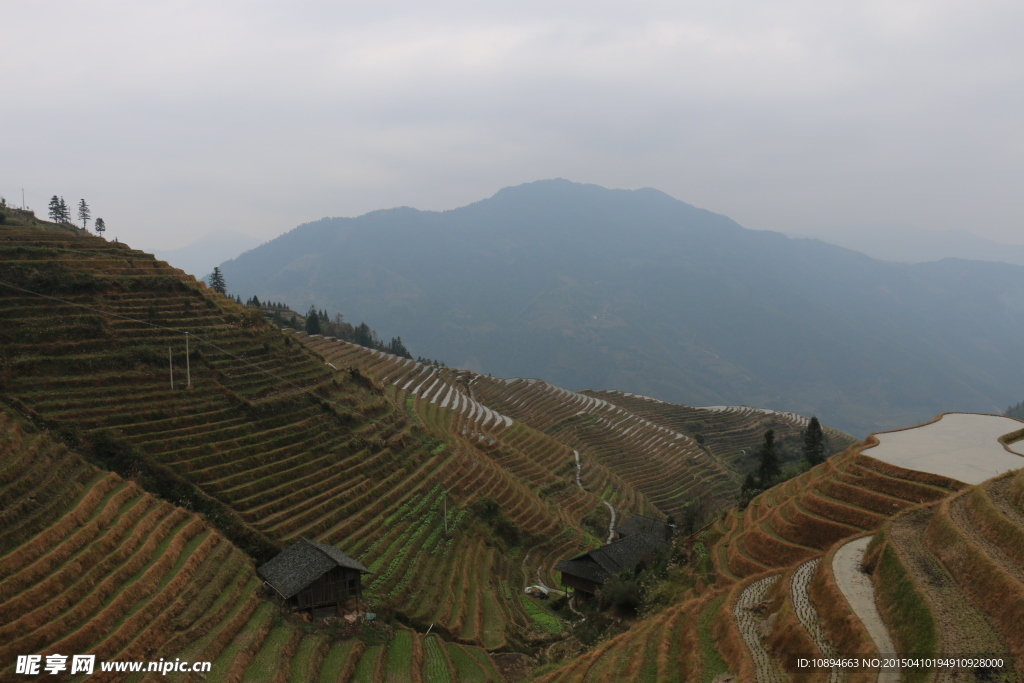 龙脊梯田