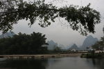 大榕树公园