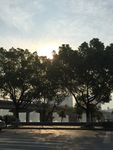 早晨阳光