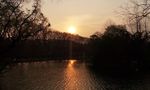 夕阳河边