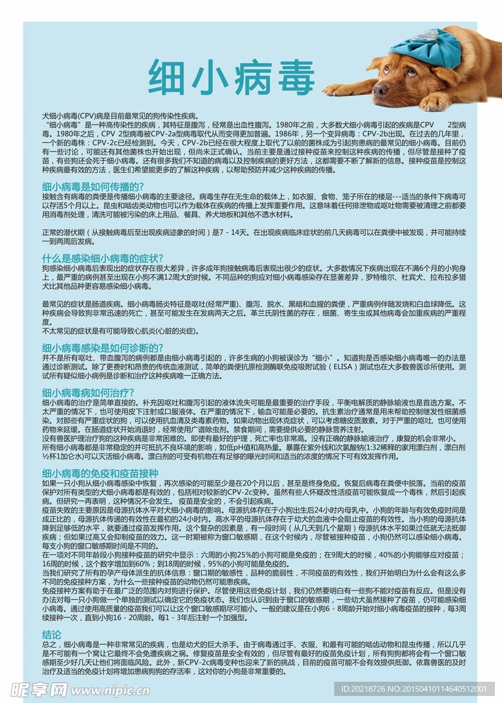 宠物医院展板
