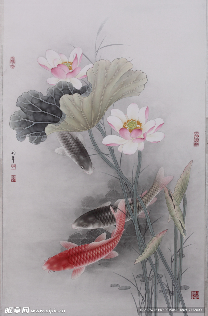荷花鱼