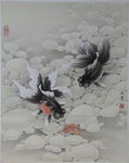 金鱼