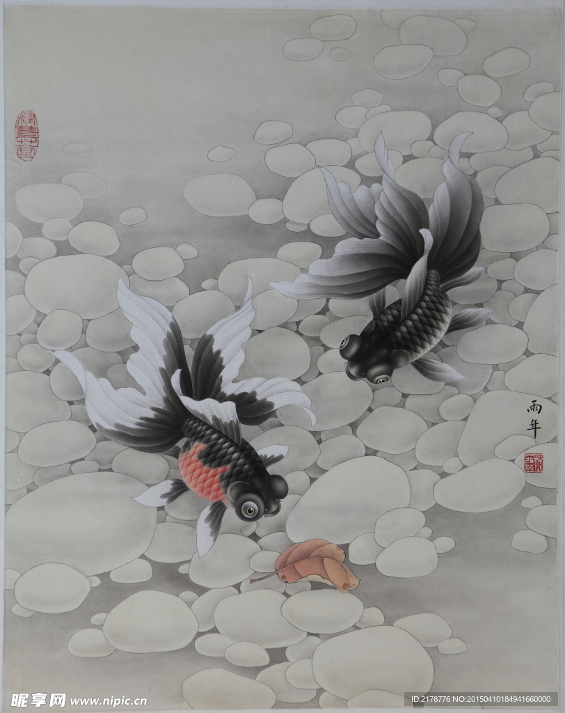 金鱼