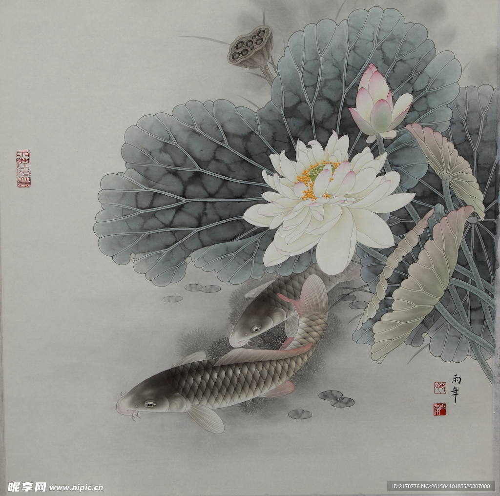 荷花鱼