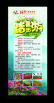 踏春出游
