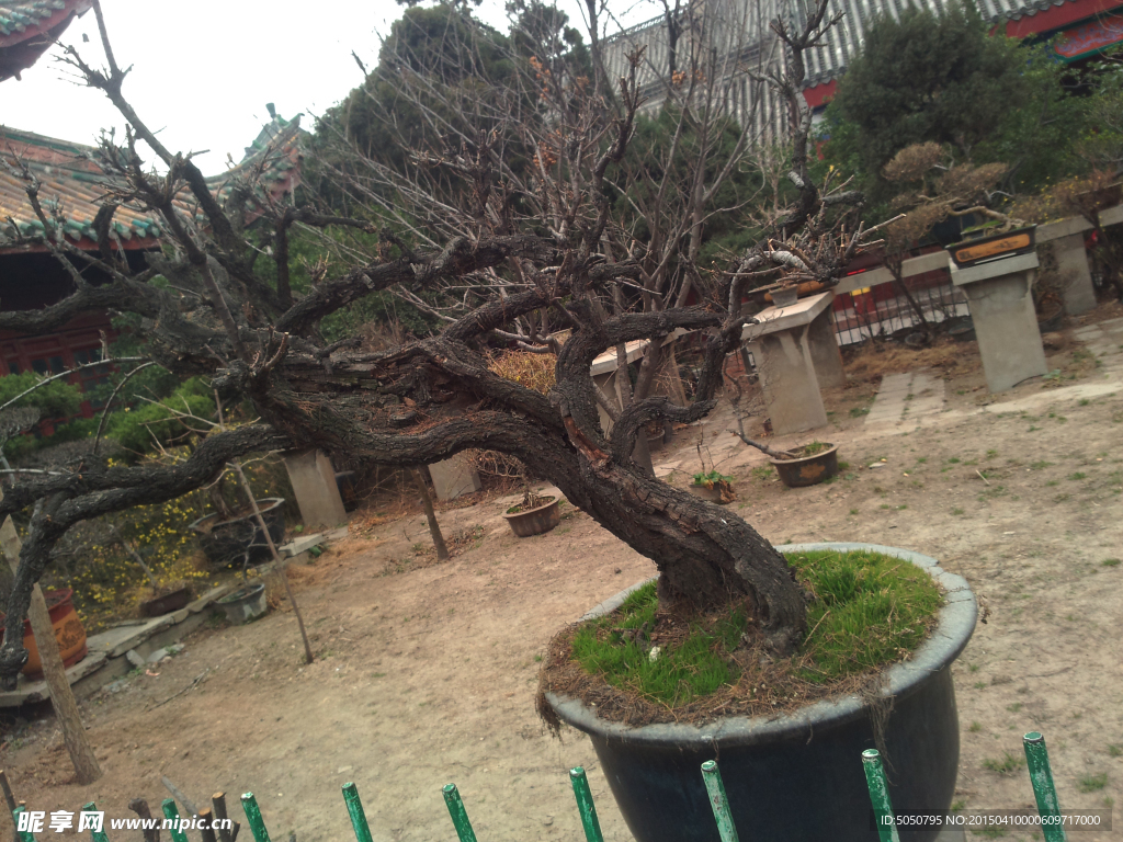 相国寺一角