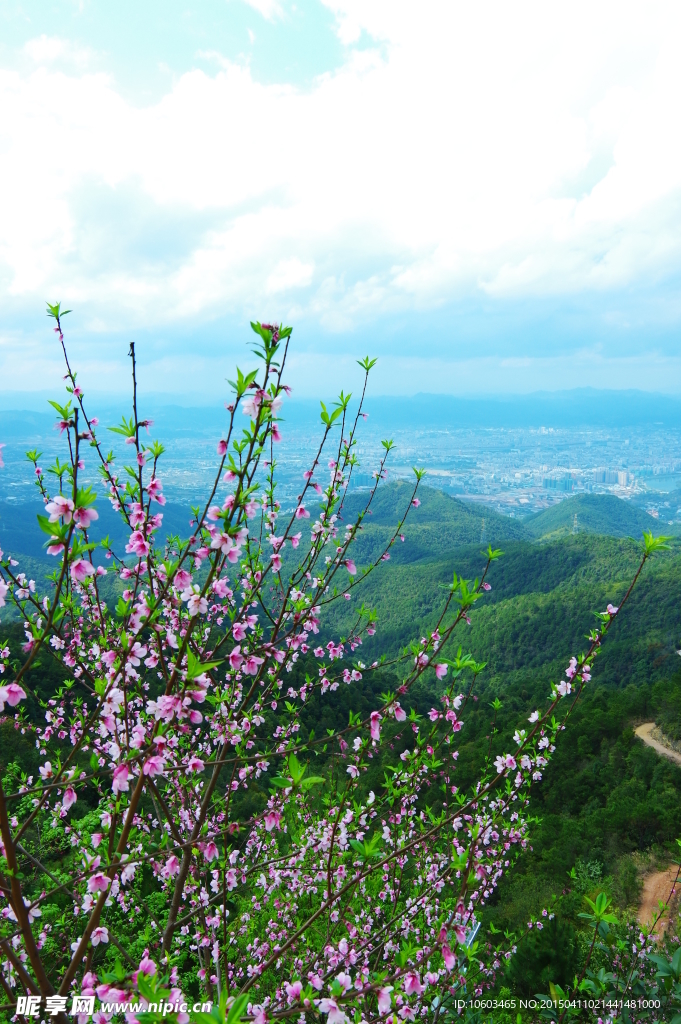 中国山水城市风光