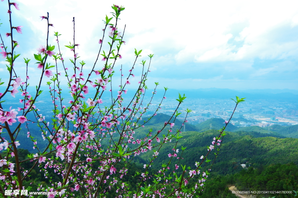 中国山水城市风光