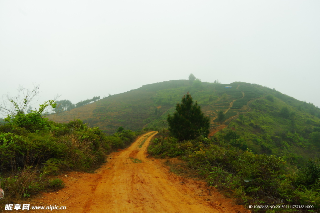 马图茶山路