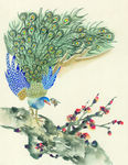 孔雀画