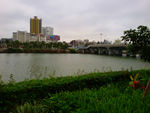 江岸附近