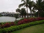 江岸风景