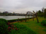 江岸景观