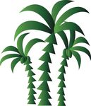 矢量椰子树