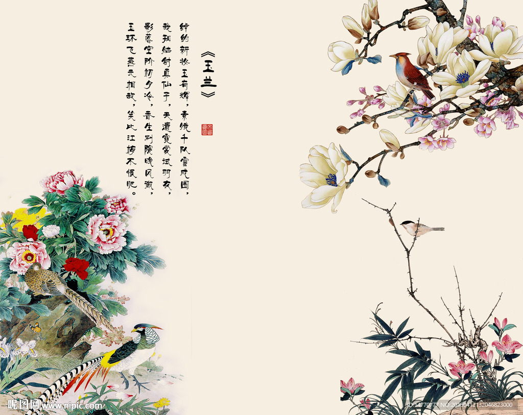 花开富贵 花鸟