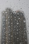 雨季
