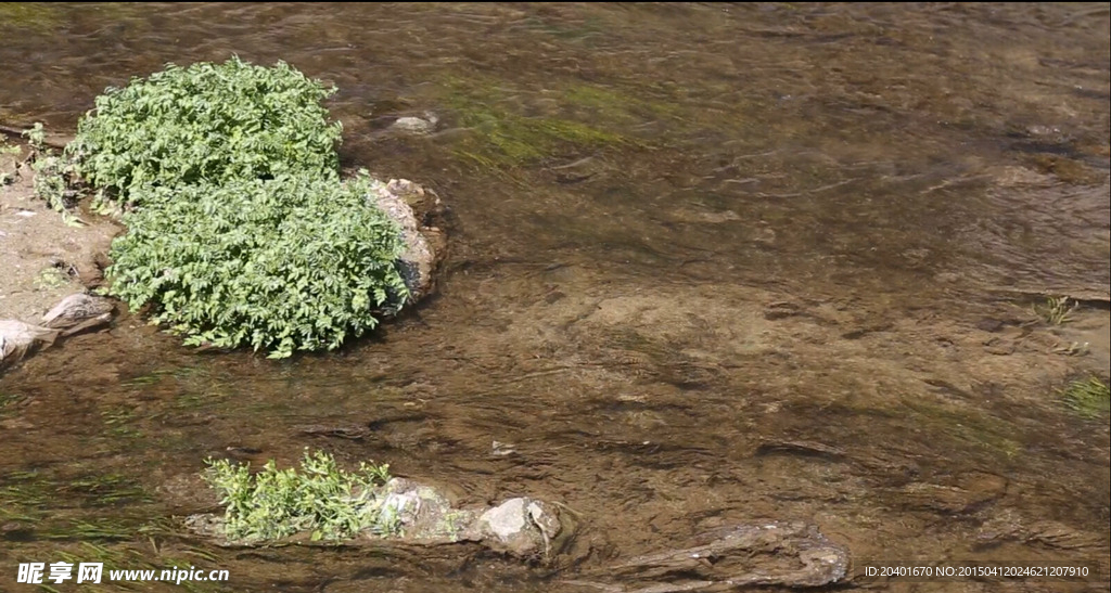 清澈流水