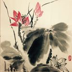 荷花