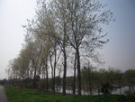 湿地公园
