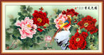 牡丹花