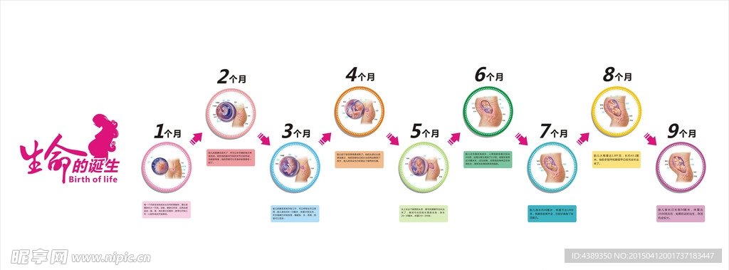 怀胎十月孕育过程