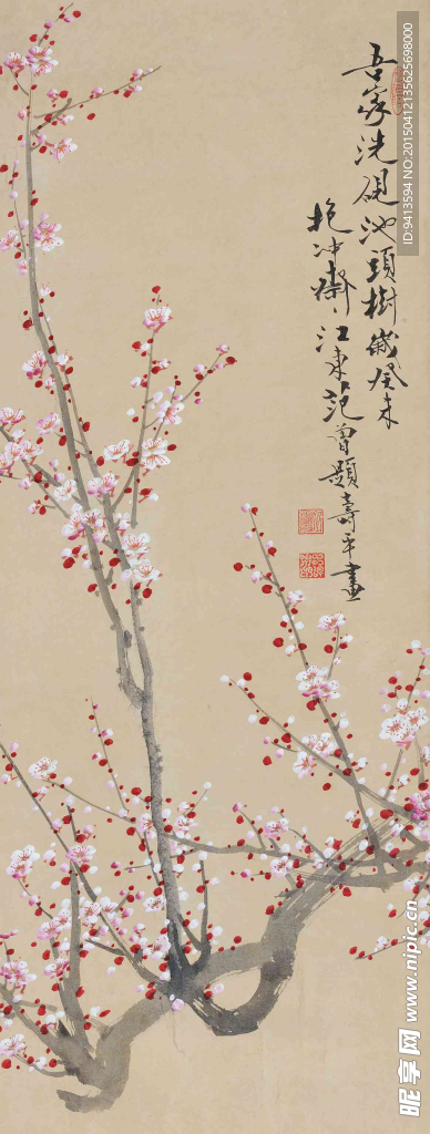 红梅