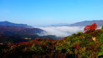 黄河丹峡全景