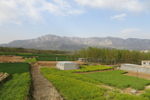 嵩山春色