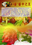 XO酱平面设计图