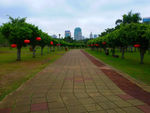景观路
