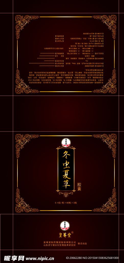冬虫夏草（平面图）
