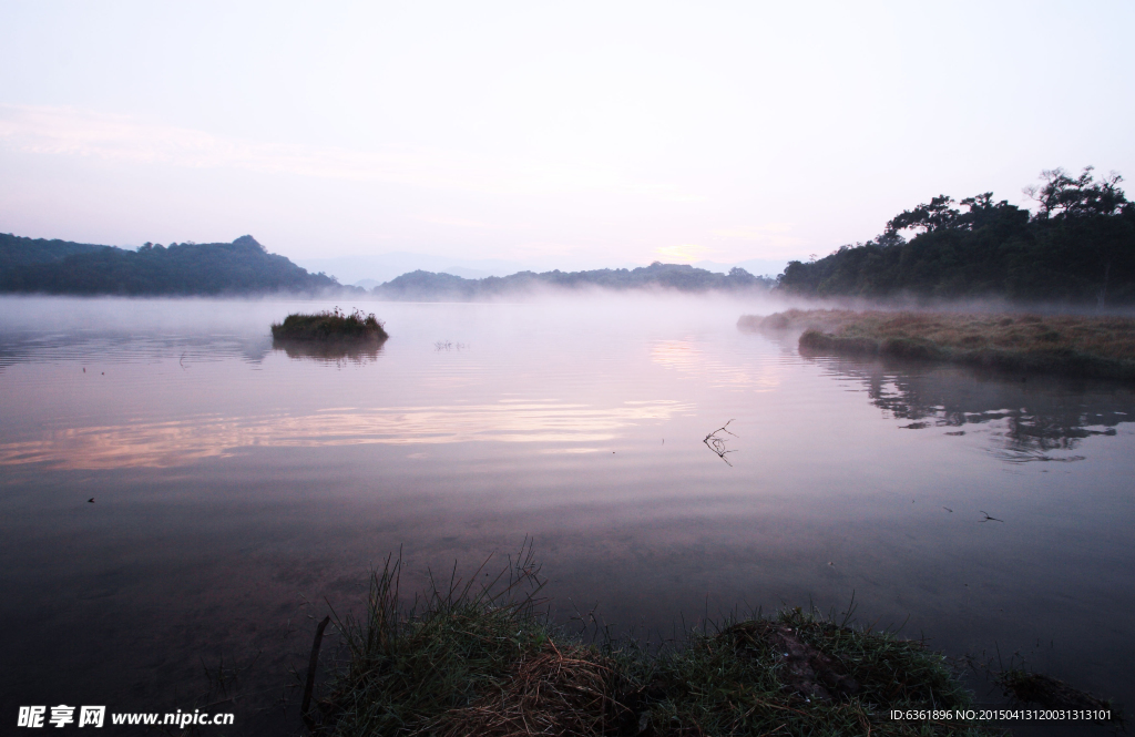 生态湿地