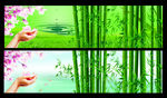 自然风景竹子背景