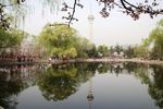 玉渊潭公园风光