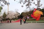 玉渊潭公园风光