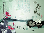 笔墨莲花